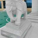 益阳 白麻花岗岩动物异形石雕-大象