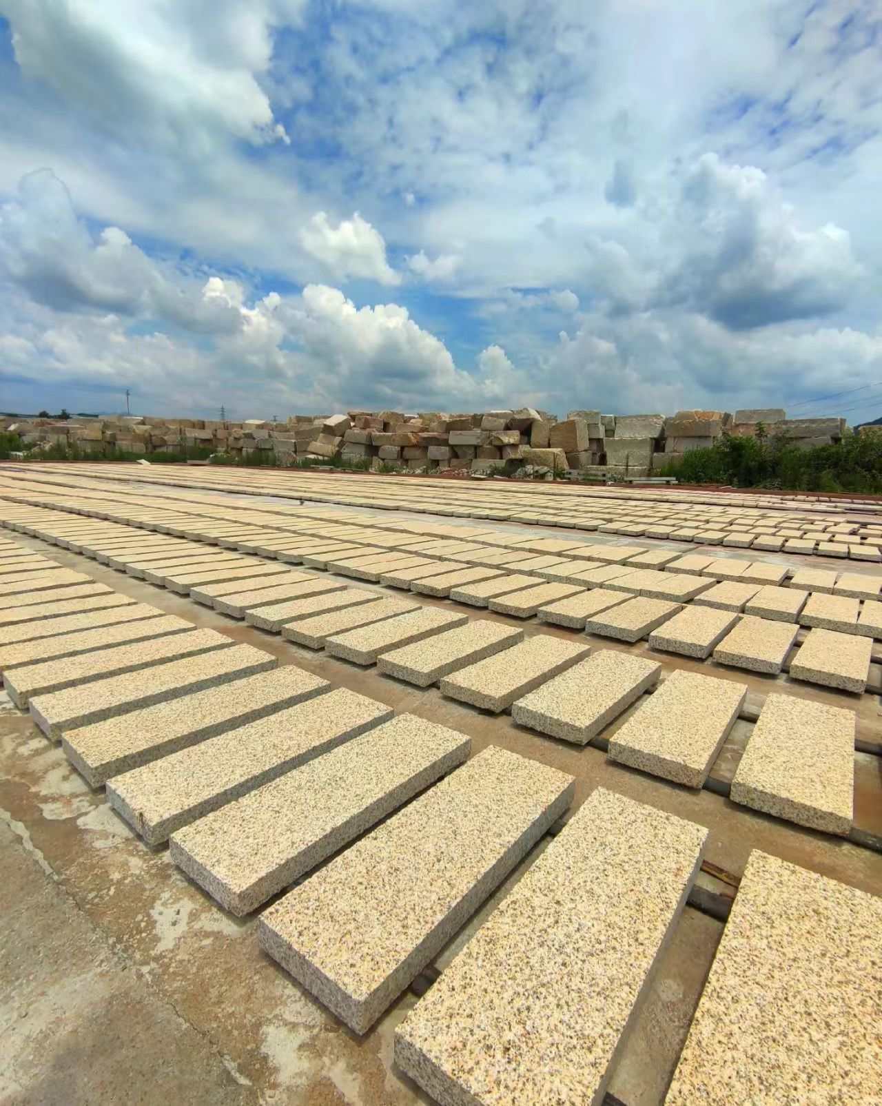 益阳 黄金麻花岗岩荔枝面地铺石防护中