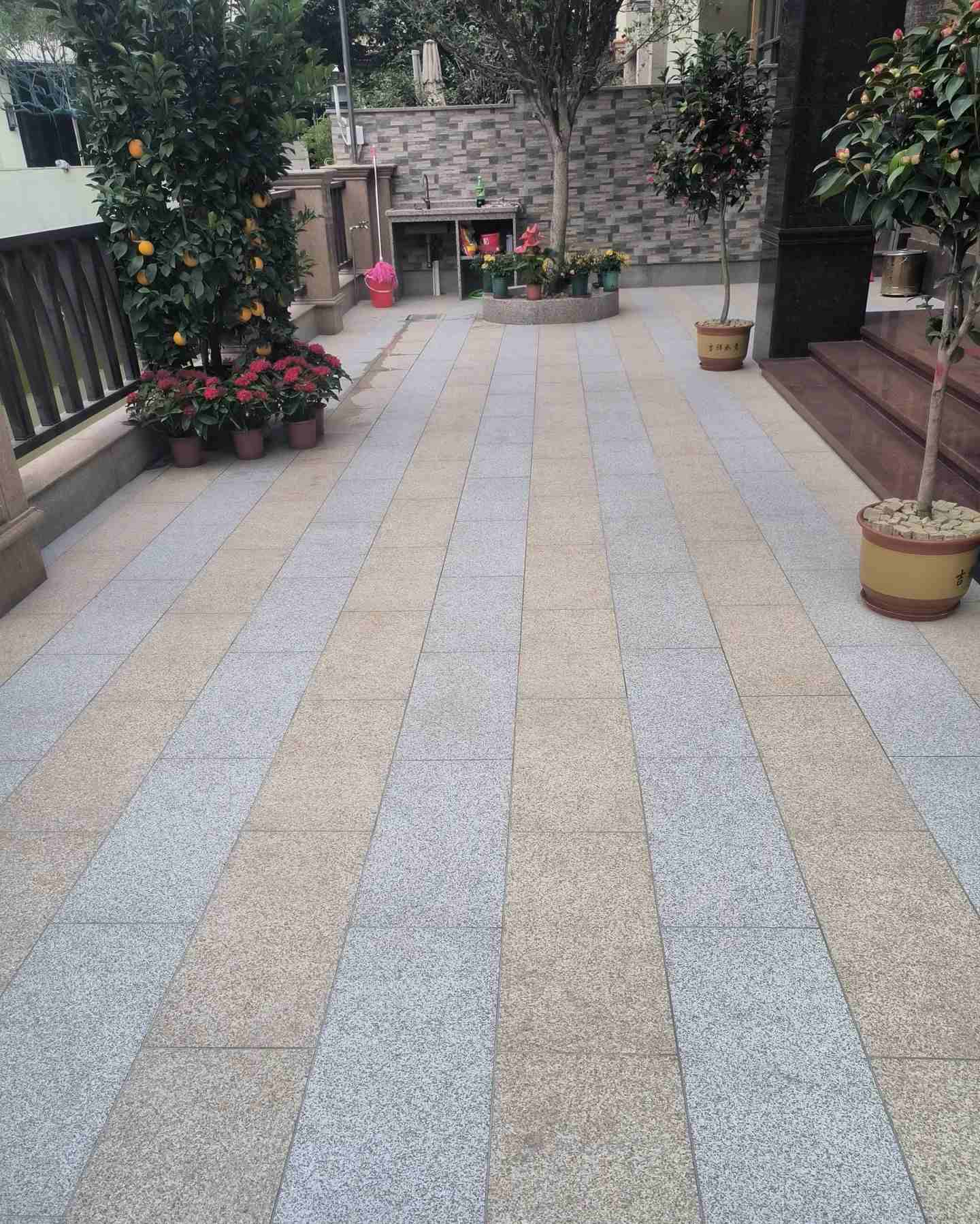 益阳 黄金麻白麻荔枝面庭院铺装展示